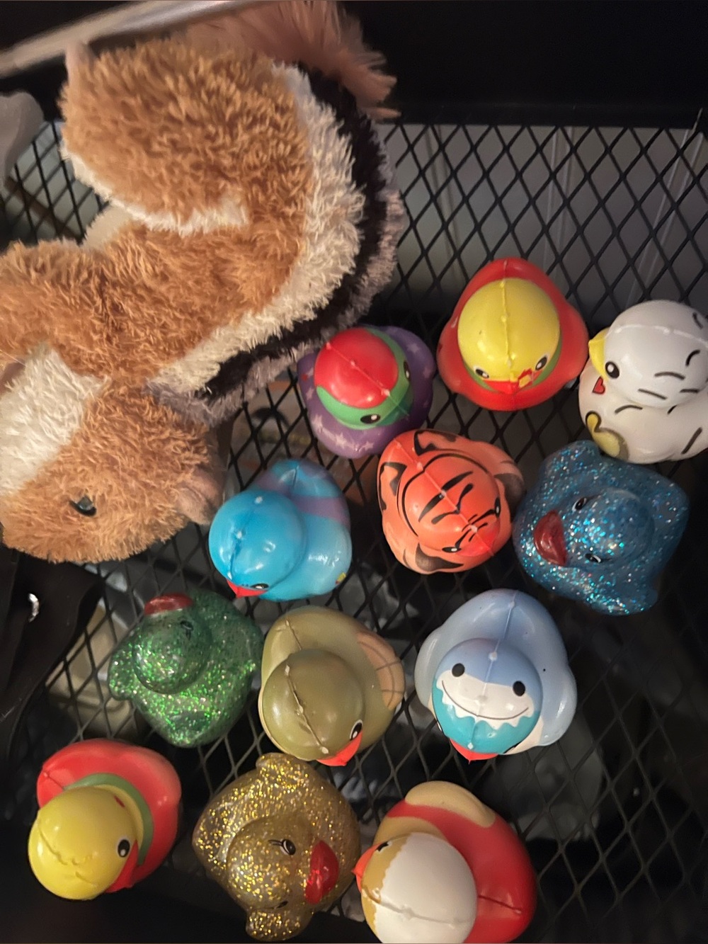 18 cruise ducks - Picture 3 of 13